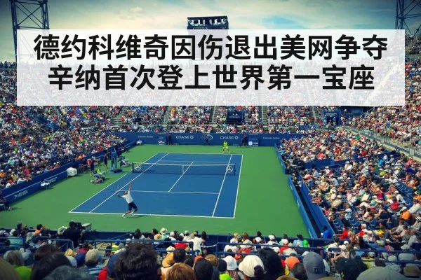 德约科维奇因伤退出美网争夺 辛纳首次登上世界第一宝座